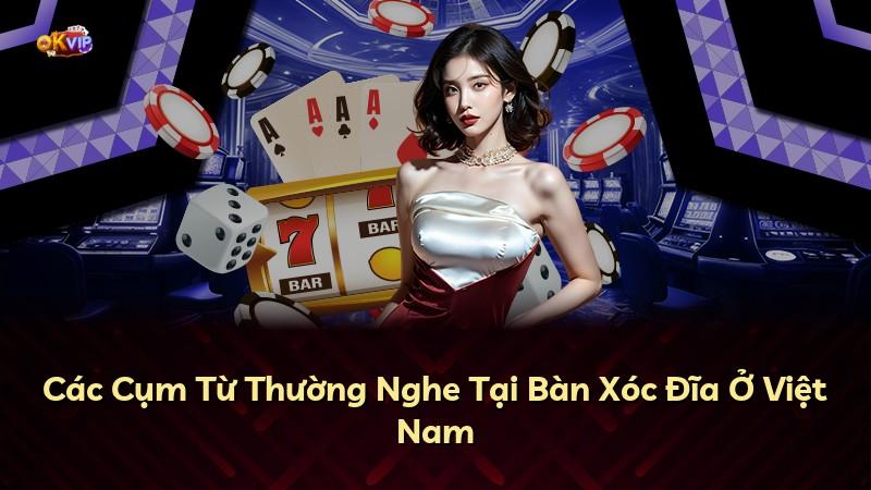 Các Cụm Từ Thường Nghe Tại Bàn Xóc Đĩa Ở Việt Nam