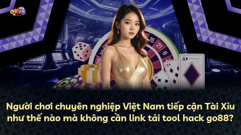 Người chơi chuyên nghiệp Việt Nam tiếp cận Tài Xỉu như thế nào mà không cần link tải tool hack go88?